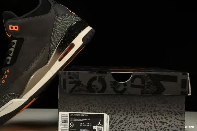 Rep Jordan 3 